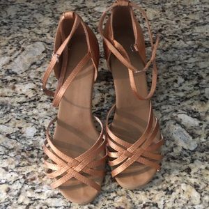 Ballroom Honeystore Dance Shoes